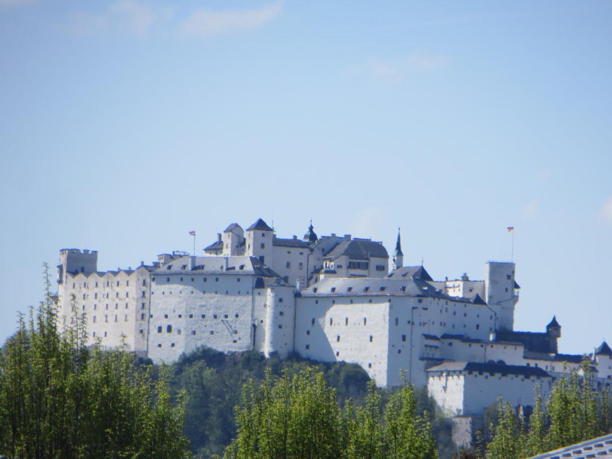 City Apartment Amadeus Salzburg Exteriör bild